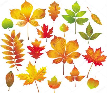 depositphotos_2633635-stock-illustration-colorful-autumn-leaves-collection.jpg